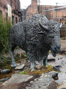 05 buffalo statue