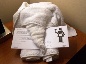 26 elephant towel